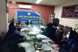 برگزاری کمیته سرمایه های انسانی مدیریت امورپرستاری
